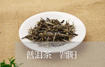 普洱茶 肾阳/2023042718534